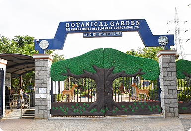 Botanical Garden Kondapur