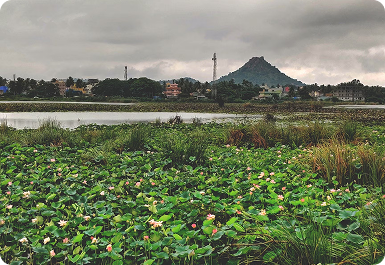 Gantiganahalli Lake