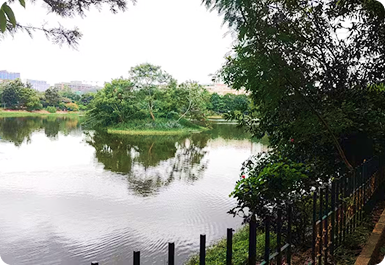 Chinnappanahalli Lake Park