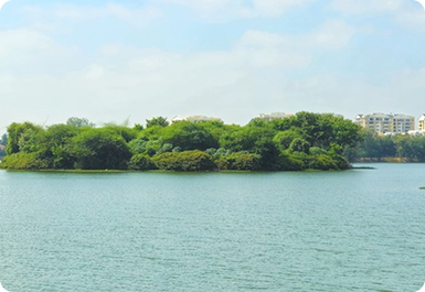 Doddanekundi Lake