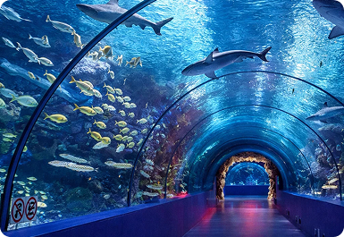 Lokaranjan Aqua World